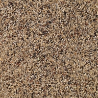���� ��� ����� Deli Nature 49 Siskins - 15 ��
