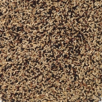 ���� ��� �������� Deli Nature 50 Canaries Basic - 20 ��