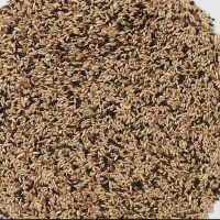 ���� ��� �������� Deli Nature 53 Canaries Extra - 20 ��
