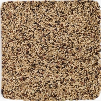 ���� ��� �������� Deli Nature 55 Canaries Supreme - 20 ��