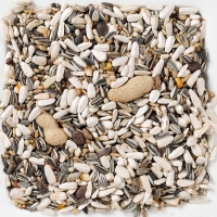 ���� ��� ������� �������� Deli Nature 60 Parrots - 15 ��