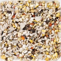 ���� ��� ������� �������� � �������� Deli Nature 64 Parrots Supreme Fruit - 15 ��