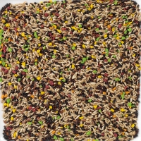 ���� ��� �������� Deli Nature 77 Canaries Colormix - 20 ��